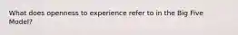 What does openness to experience refer to in the Big Five Model?