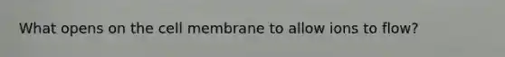 What opens on the cell membrane to allow ions to flow?