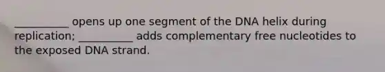 __________ opens up one segment of the DNA helix during replication; __________ adds complementary free nucleotides to the exposed DNA strand.