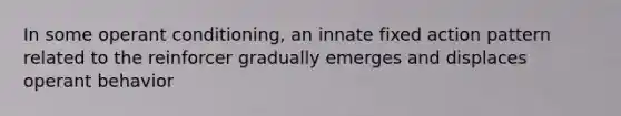 In some operant conditioning, an innate fixed action pattern related to the reinforcer gradually emerges and displaces operant behavior