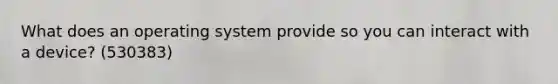 What does an operating system provide so you can interact with a device? (530383)