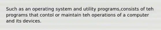 Such as an operating system and utility programs,consists of teh programs that contol or maintain teh operations of a computer and its devices.