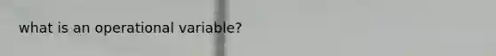 what is an operational variable?