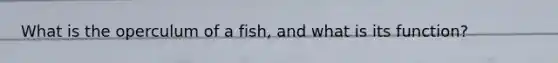 What is the operculum of a fish, and what is its function?