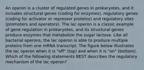 An operon is a cluster of regulated genes in prokaryotes, and it includes structural genes (coding for enzymes), regulatory genes (coding for activator or repressor proteins) and regulatory sites (promoters and operators). The lac operon is a classic example of gene regulation in prokaryotes, and its structural genes produce enzymes that metabolize the sugar lactose. Like all bacterial operons, the lac operon is able to produce multiple proteins from one mRNA transcript. The figure below illustrates the lac operon when it is "off" (top) and when it is "on" (bottom). Which of the following statements BEST describes the regulatory mechanism of the lac operon?