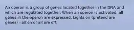 An operon is a group of genes located together in the DNA and which are regulated together. When an operon is activated, all genes in the operon are expressed. Lights on (pretend are genes) - all on or all are off.