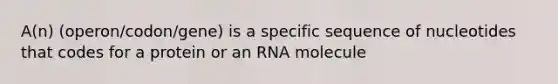 A(n) (operon/codon/gene) is a specific sequence of nucleotides that codes for a protein or an RNA molecule