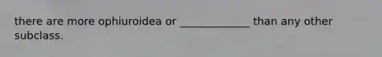 there are more ophiuroidea or _____________ than any other subclass.