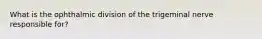 What is the ophthalmic division of the trigeminal nerve responsible for?