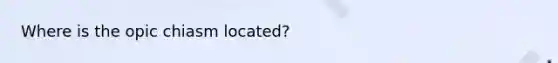 Where is the opic chiasm located?