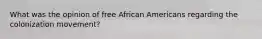 What was the opinion of free African Americans regarding the colonization movement?