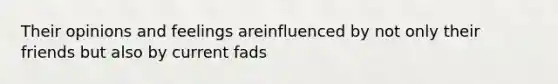 Their opinions and feelings areinfluenced by not only their friends but also by current fads