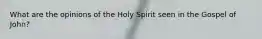 What are the opinions of the Holy Spirit seen in the Gospel of John?