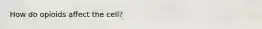 How do opioids affect the cell?