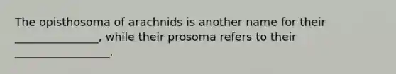 The opisthosoma of arachnids is another name for their _______________, while their prosoma refers to their _________________.