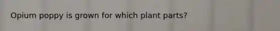 Opium poppy is grown for which plant parts?