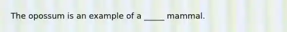 The opossum is an example of a _____ mammal.