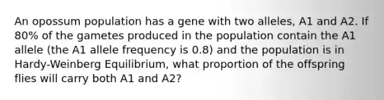 An opossum population has a gene with two alleles, A1 and A2. If 80% of the gametes produced in the population contain the A1 allele (the A1 allele frequency is 0.8) and the population is in Hardy-Weinberg Equilibrium, what proportion of the offspring flies will carry both A1 and A2?