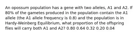 An opossum population has a gene with two alleles, A1 and A2. If 80% of the gametes produced in the population contain the A1 allele (the A1 allele frequency is 0.8) and the population is in Hardy-Weinberg Equilibrium, what proportion of the offspring flies will carry both A1 and A2? 0.80 0.64 0.32 0.20 0.04