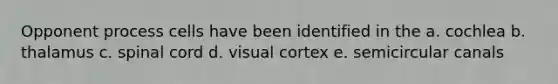Opponent process cells have been identified in the a. cochlea b. thalamus c. spinal cord d. visual cortex e. semicircular canals