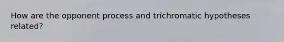 How are the opponent process and trichromatic hypotheses related?