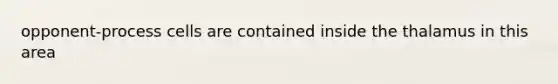opponent-process cells are contained inside the thalamus in this area