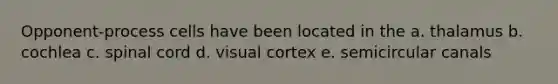 Opponent-process cells have been located in the a. thalamus b. cochlea c. spinal cord d. visual cortex e. semicircular canals