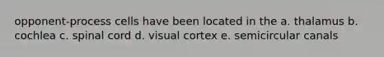 opponent-process cells have been located in the a. thalamus b. cochlea c. spinal cord d. visual cortex e. semicircular canals