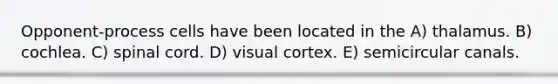 Opponent-process cells have been located in the A) thalamus. B) cochlea. C) spinal cord. D) visual cortex. E) semicircular canals.