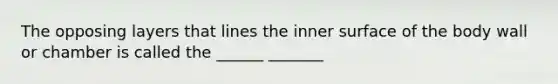 The opposing layers that lines the inner surface of the body wall or chamber is called the ______ _______
