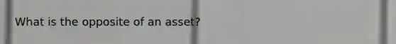 What is the opposite of an asset?