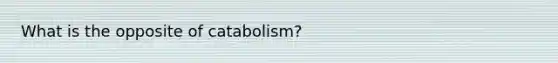 What is the opposite of catabolism?