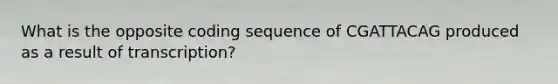 What is the opposite coding sequence of CGATTACAG produced as a result of transcription?