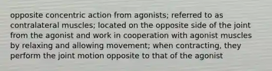 opposite concentric action from agonists; referred to as contralateral muscles; located on the opposite side of the joint from the agonist and work in cooperation with agonist muscles by relaxing and allowing movement; when contracting, they perform the joint motion opposite to that of the agonist