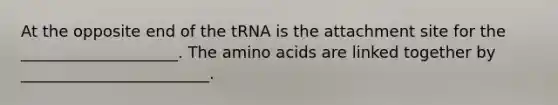 At the opposite end of the tRNA is the attachment site for the ____________________. The amino acids are linked together by ________________________.