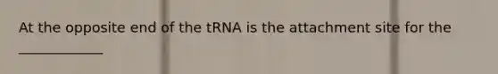 At the opposite end of the tRNA is the attachment site for the ____________