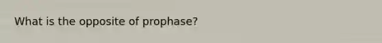 What is the opposite of prophase?