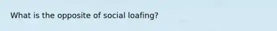 What is the opposite of social loafing?