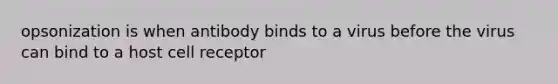 opsonization is when antibody binds to a virus before the virus can bind to a host cell receptor