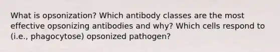 What is opsonization? Which antibody classes are the most effective opsonizing antibodies and why? Which cells respond to (i.e., phagocytose) opsonized pathogen?