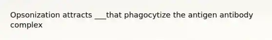 Opsonization attracts ___that phagocytize the antigen antibody complex