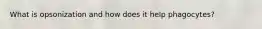 What is opsonization and how does it help phagocytes?