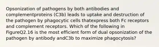 Opsonization of pathogens by both antibodies and complementproteins (C3b) leads to uptake and destruction of the pathogen by phagocytic cells thatexpress both Fc receptors and complement receptors. Which of the following in FigureQ2.16 is the most efficient form of dual opsonization of the pathogen by antibody andC3b to maximize phagocytosis?