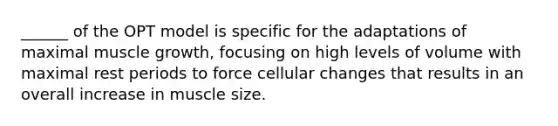 ______ of the OPT model is specific for the adaptations of maximal muscle growth, focusing on high levels of volume with maximal rest periods to force cellular changes that results in an overall increase in muscle size.