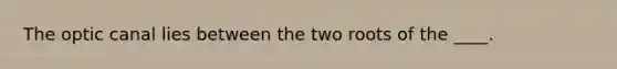 The optic canal lies between the two roots of the ____.