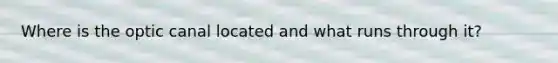Where is the optic canal located and what runs through it?