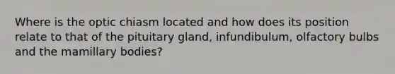 Where is the optic chiasm located and how does its position relate to that of the pituitary gland, infundibulum, olfactory bulbs and the mamillary bodies?