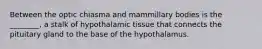 Between the optic chiasma and mammillary bodies is the ________, a stalk of hypothalamic tissue that connects the pituitary gland to the base of the hypothalamus.