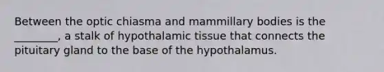 Between the optic chiasma and mammillary bodies is the ________, a stalk of hypothalamic tissue that connects the pituitary gland to the base of the hypothalamus.