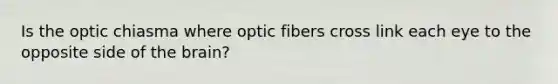 Is the optic chiasma where optic fibers cross link each eye to the opposite side of the brain?